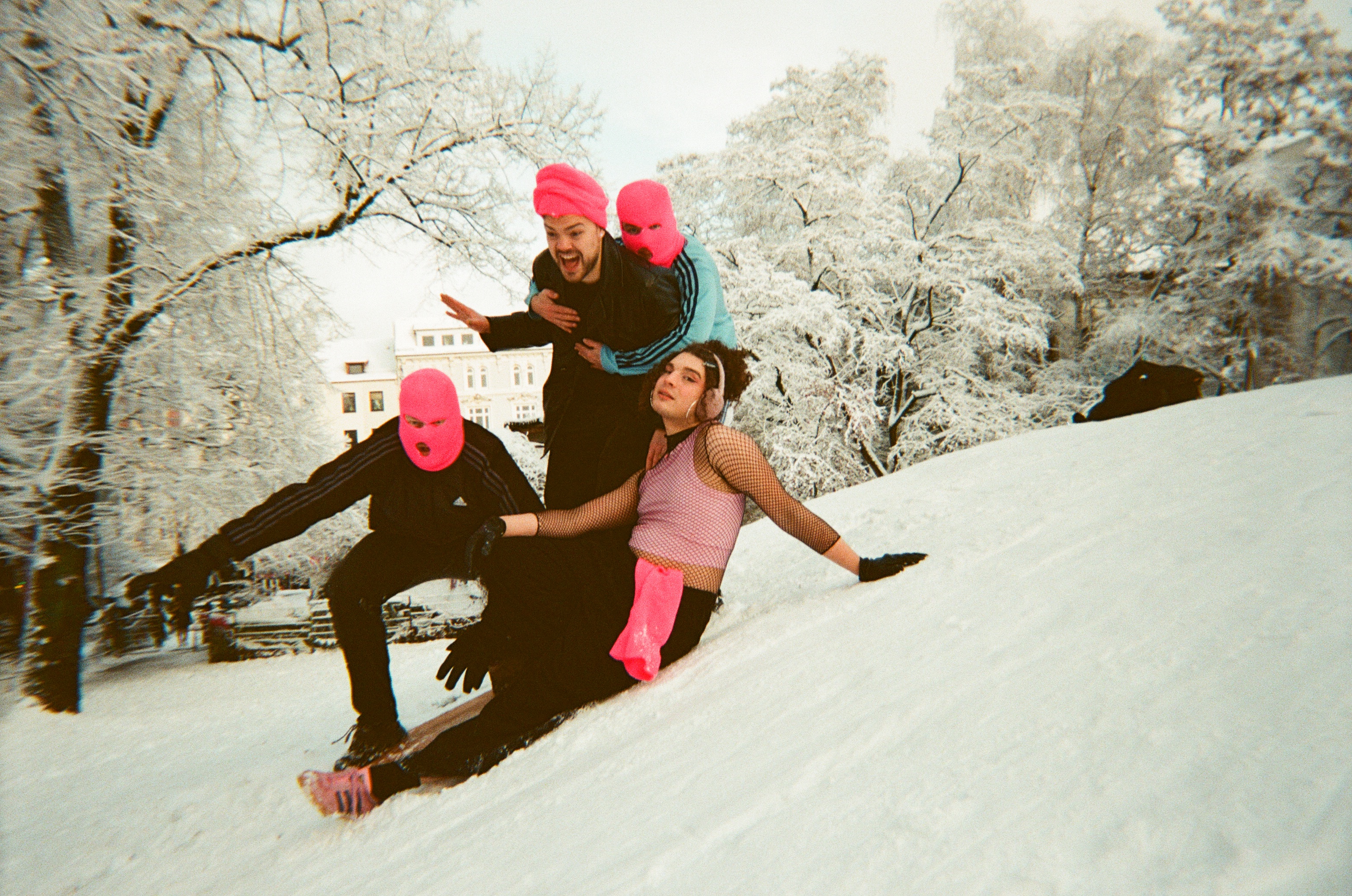 Stein Walter Frank Meier